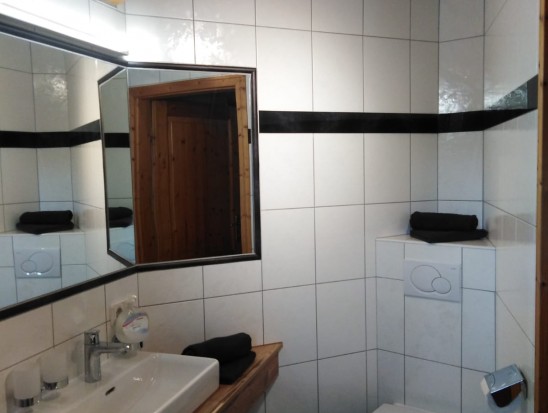 Neu renoviertes Badezimmer mit Dusche, Waschbecken und WC