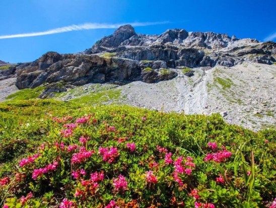 Wanderung Faulkogel in Flachau